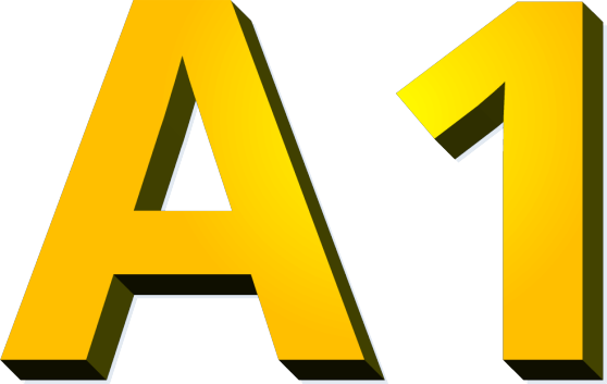 A1 A1