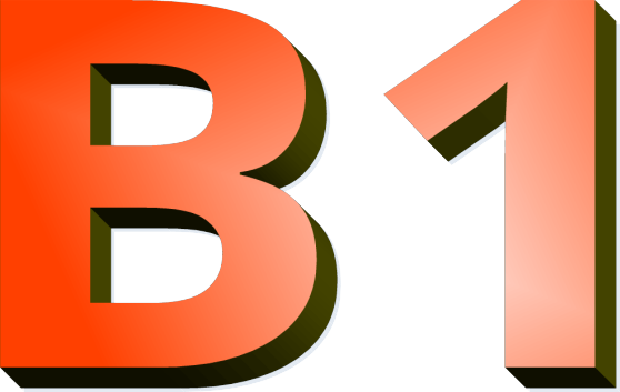 B1 B1